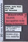 Etiketten zu Silesis incognitus (NHMW-ZOO-COL-0008760)